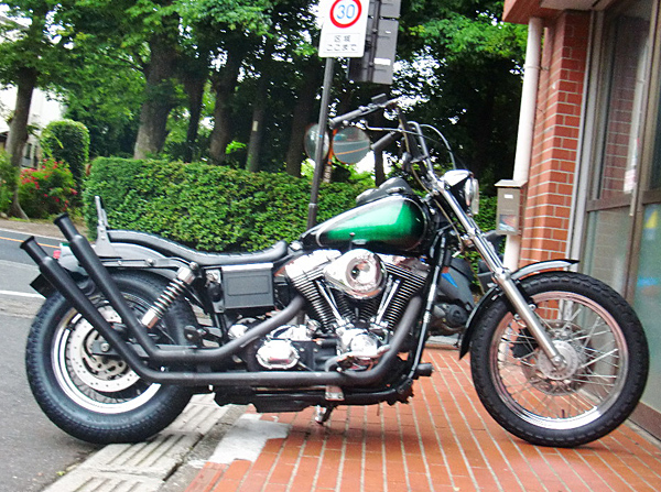 Harley-Davidson 01'FXDL